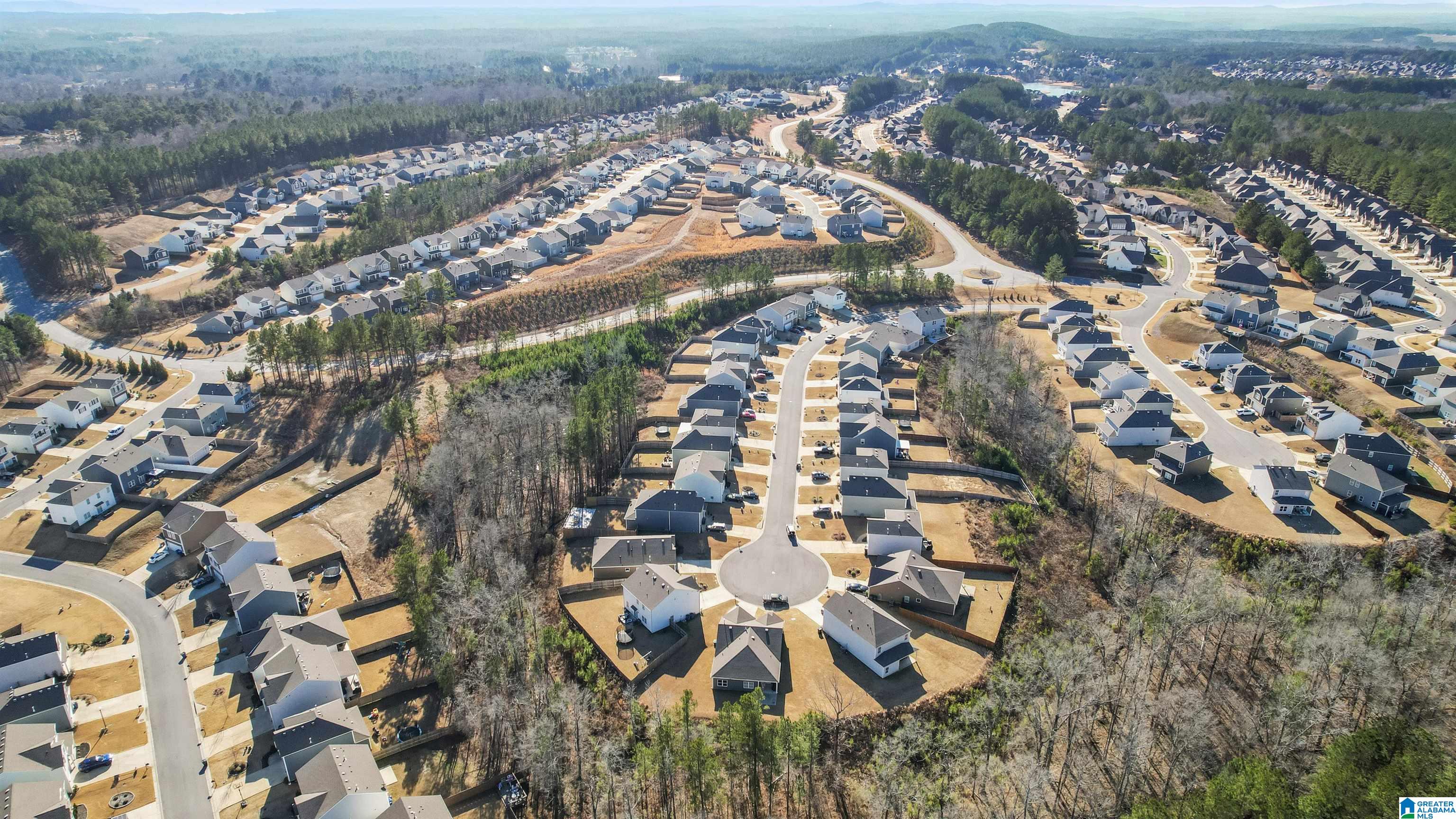 4056 Pk Cv Way Chelsea, AL 35043 - Photo 8 of 37