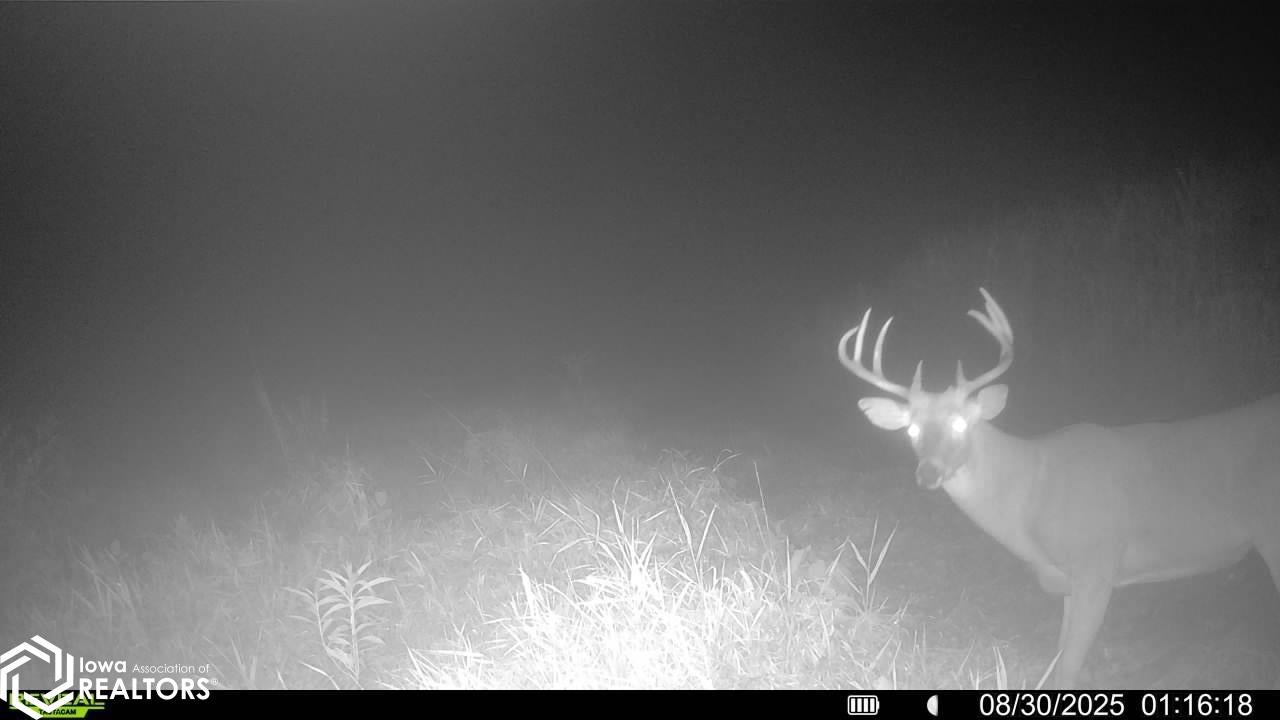 Tbd Old River Road Southwest Cedar Rapids, IA 52404 - Photo 5 of 33 Gallery Image 5