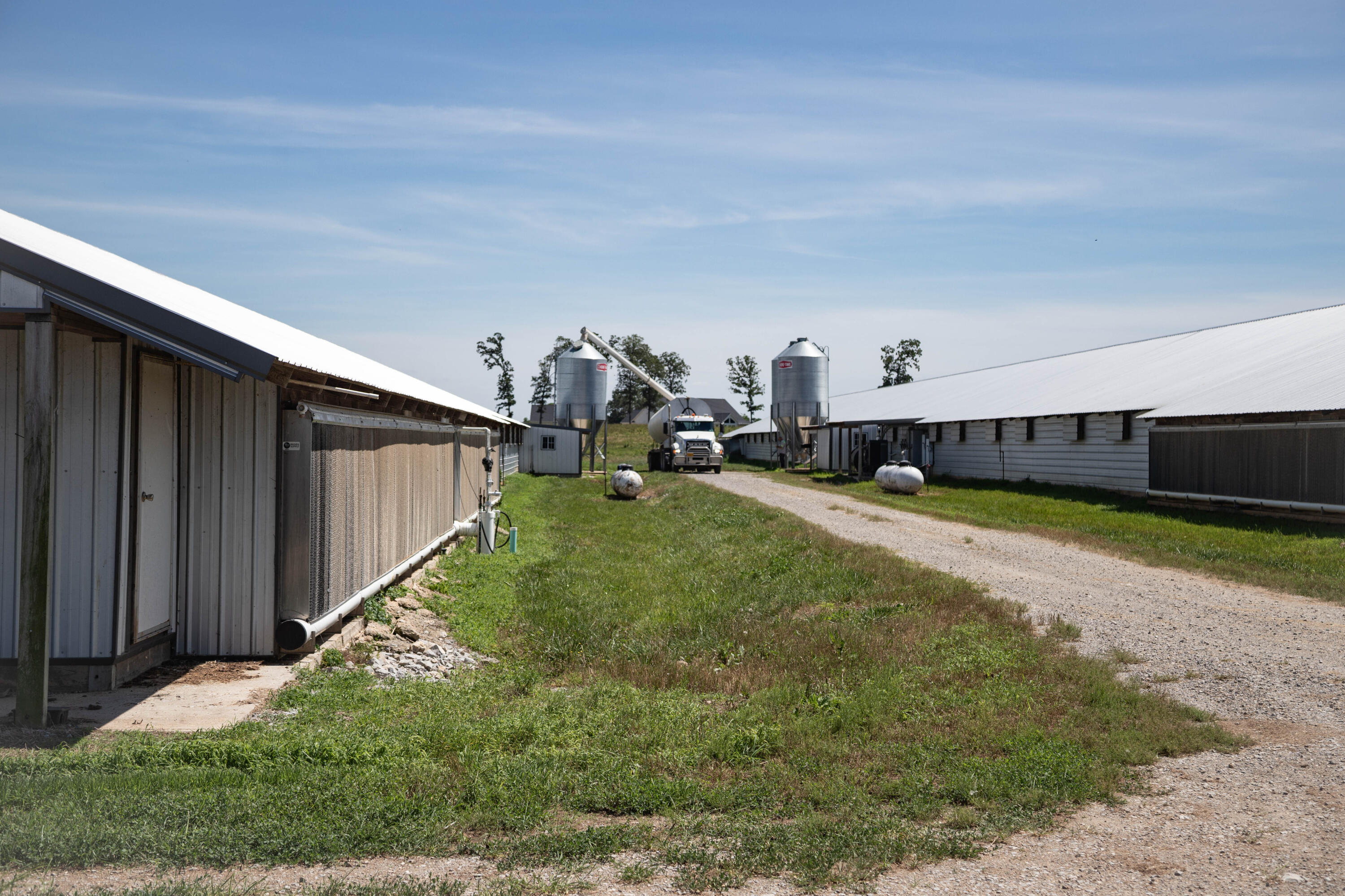 6719 Ripley Route North Doniphan, MO 63935 - Photo 153 of 159 IMG_7900
