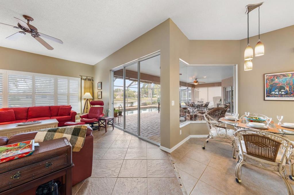 1237 Rambling Vine Court Trinity, FL 34655 - Photo 21 of 76