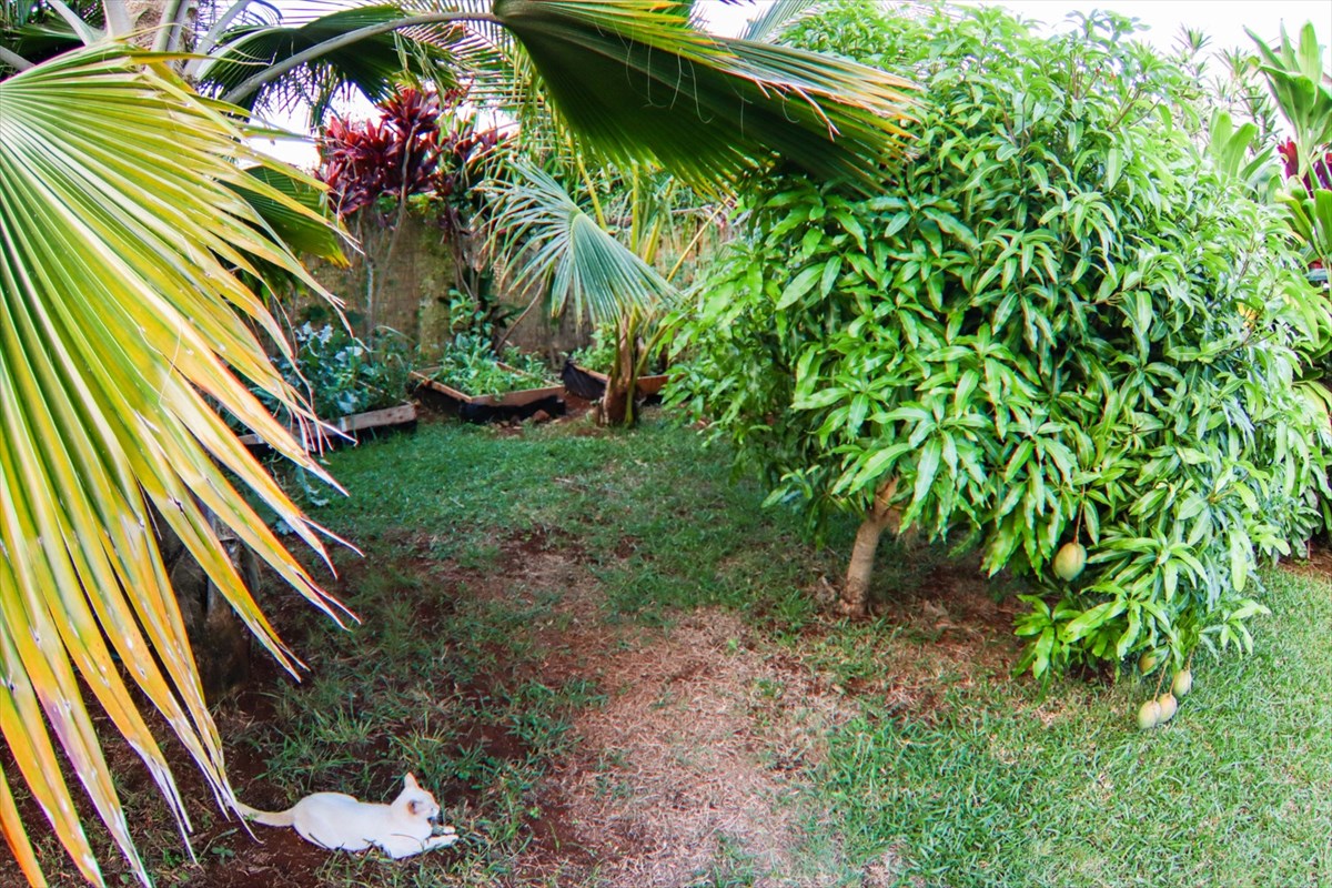 4754 Pelehu Road Kapaa, HI 96746 - Photo 7 of 20 Gallery Image 7