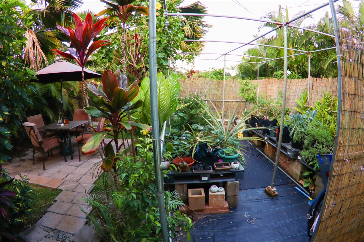 4754 Pelehu Road Kapaa, HI 96746 - Photo 8 of 20 Gallery Image 8