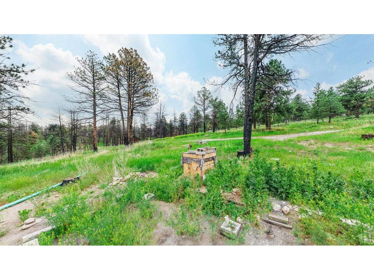 179 Green Ridge Road Loveland, CO 80537 - Photo 9 of 13 View from in the lot facing S / E.