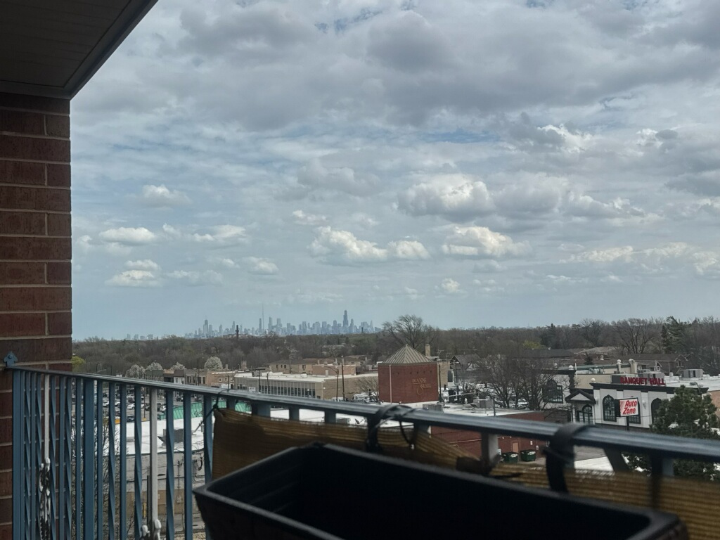 6526 West Irving Park Road, Unit 608 Chicago, IL 60634 - Photo 20 of 34