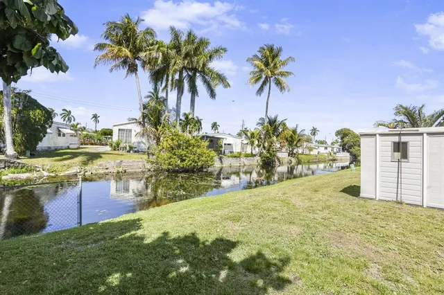 a view of a yard with palm trees