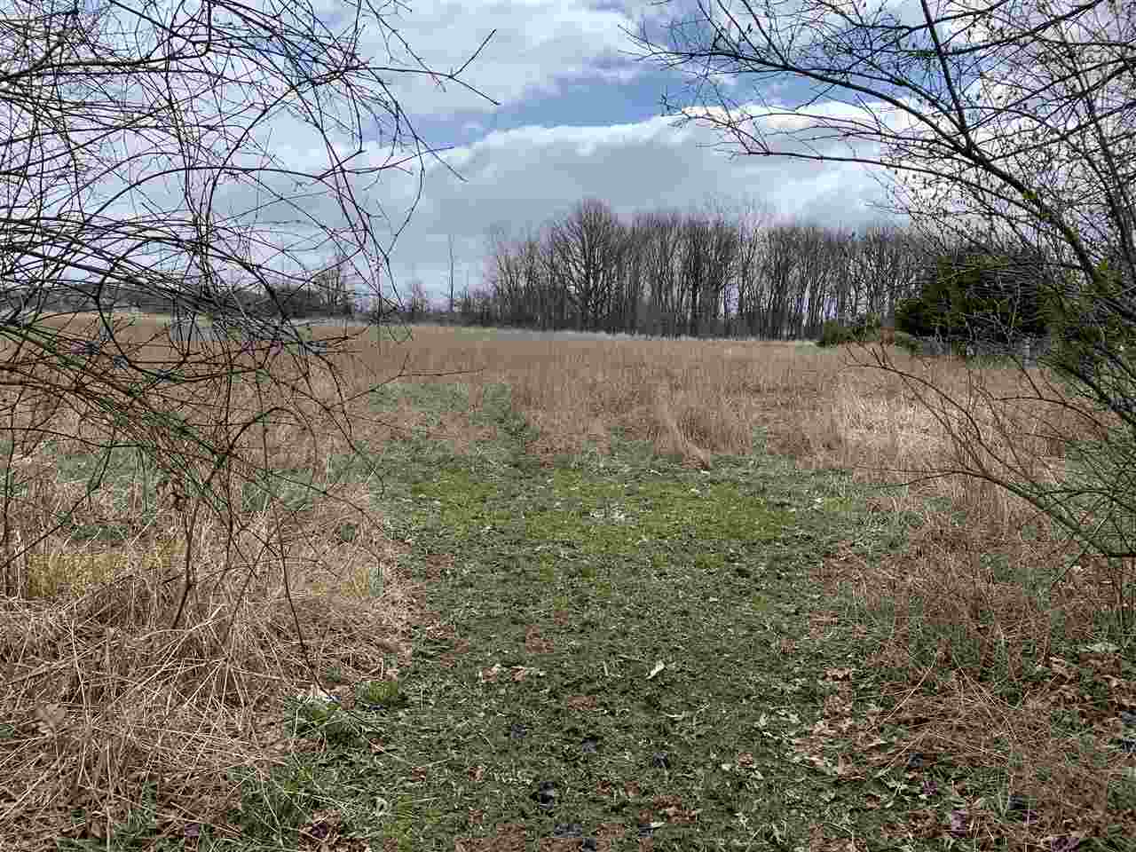 800 North Jerome Road Ithaca, MI 48847 - Photo 83 of 88 1873692-88.JPG