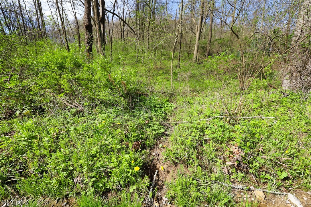 Jacks Run Road Quaker City, OH 43773 - Photo 20 of 50 Gallery Image 20