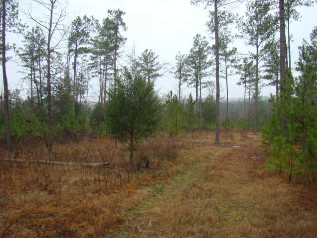 0 Hoover Road Elberton, GA 30635 - Photo 1 of 1