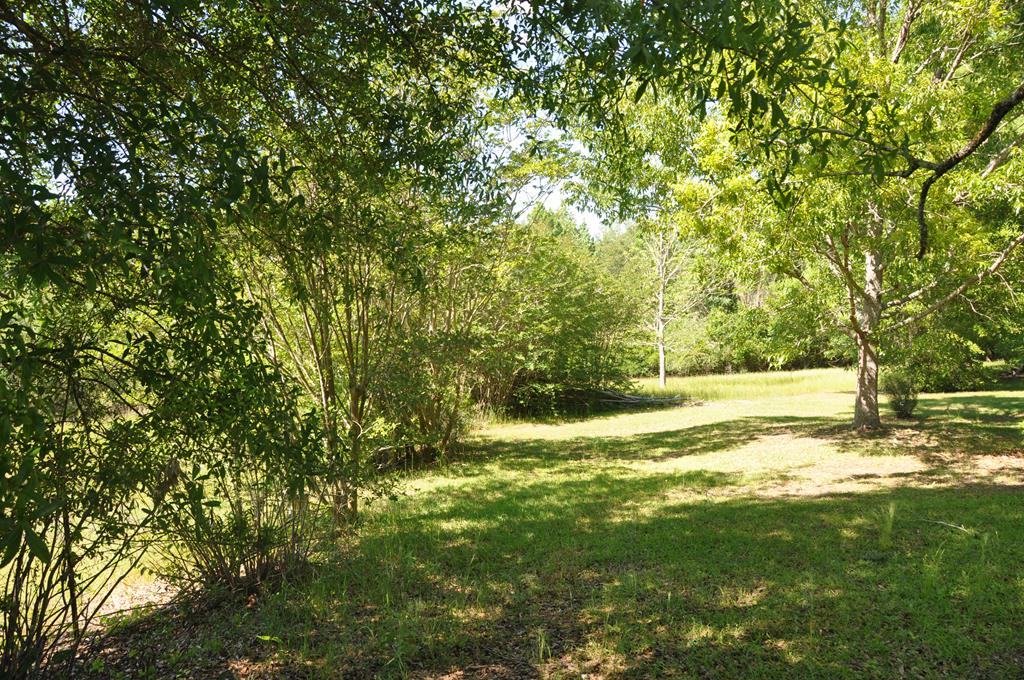 910 Holley Mill Road Samson, AL 36477 - Photo 58 of 58