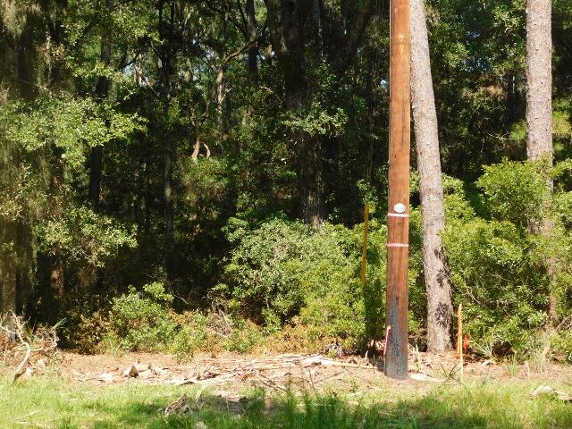 8662 Palmetto Road Edisto Island, SC 29438 - Photo 6 of 8 DSCN2929 (640x480)