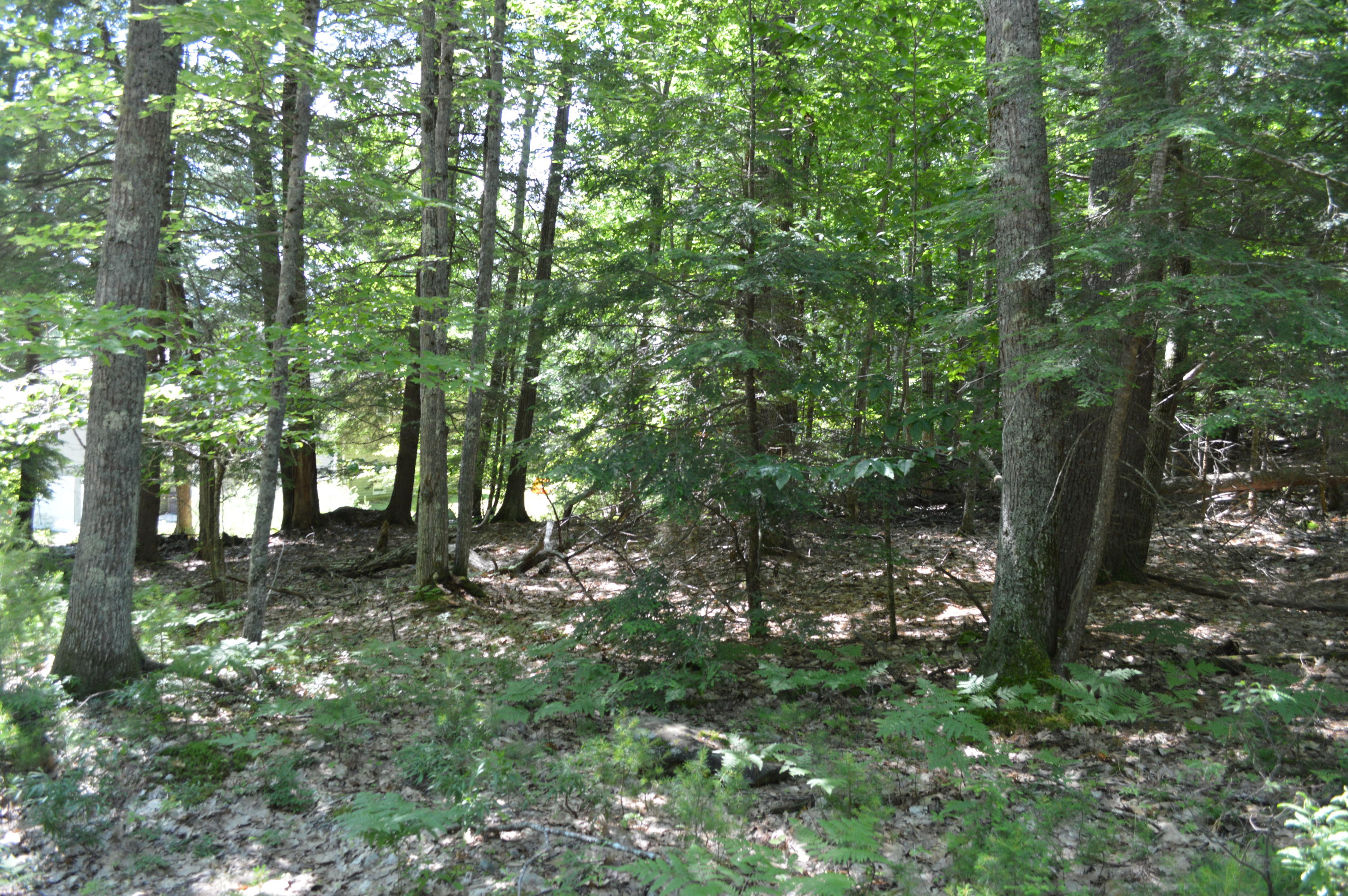 0 Johnson Road Windham, ME 04062 - Photo 12 of 24 .