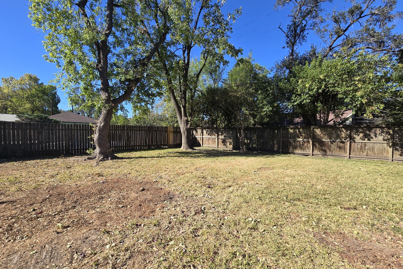8822 Rowan Lane Houston, TX 77036 - Photo 12 of 12 a house with trees in front of it