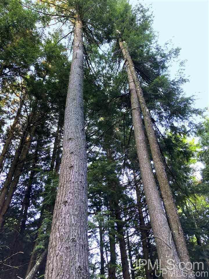 4688 12th Road Escanaba, MI 49829 - Photo 8 of 42