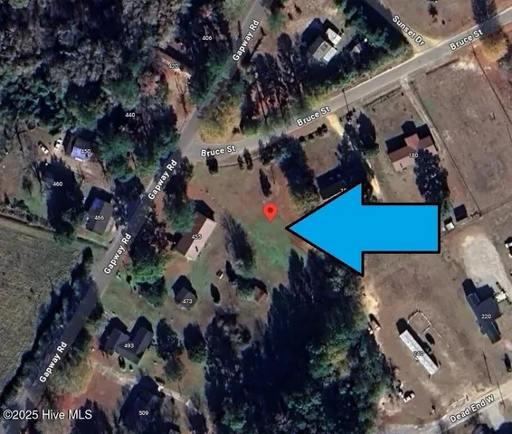 $17,000 | 205 Bruce Street, Fair Bluff, NC 28439