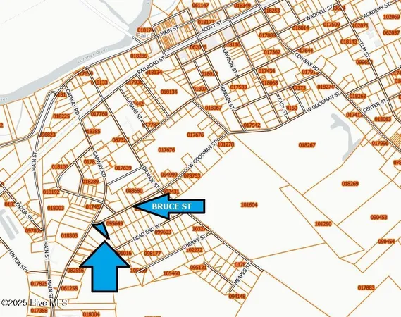 $17,000 | 205 Bruce Street, Fair Bluff, NC 28439