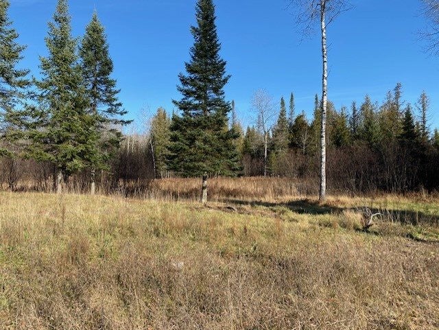 8276 Lovells Road Grayling, MI 49738 - Photo 26 of 28 Gallery Image 26