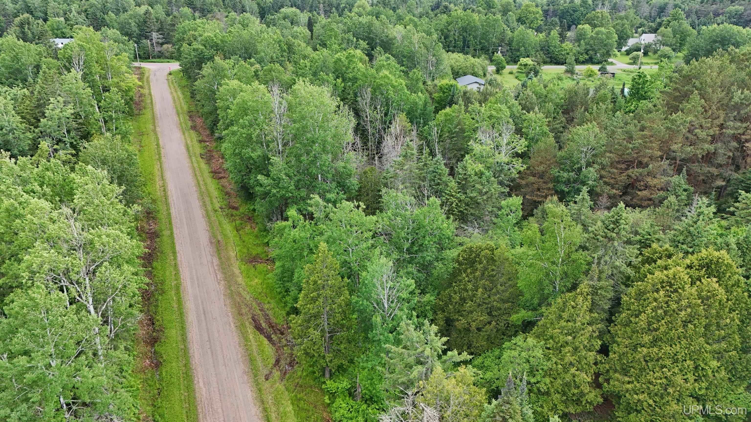 5.23 Messner Road Baraga, MI 49908 - Photo 10 of 18