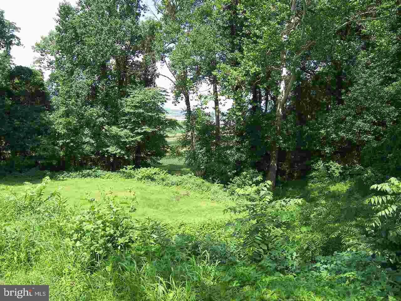 3806 River Road Middletown, PA 17057 - Photo 9 of 10 Gallery Image 9