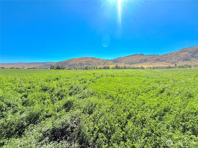 a view of an outdoor space with mountain view