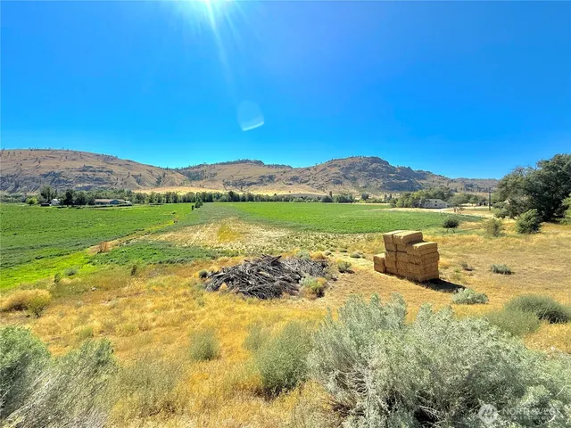 a view of a field with an ocean