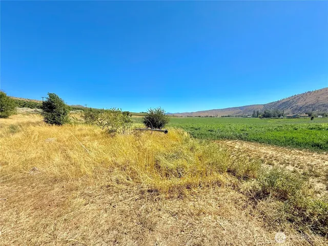 a view of a field with an ocean