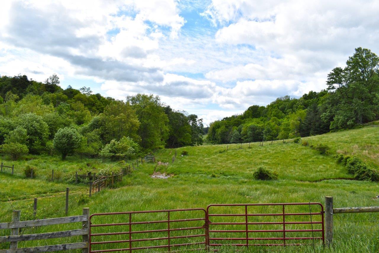 0 Double Springs Road Northeast Check, VA 24072 - Photo 1 of 15 a view of a field with wooden fence