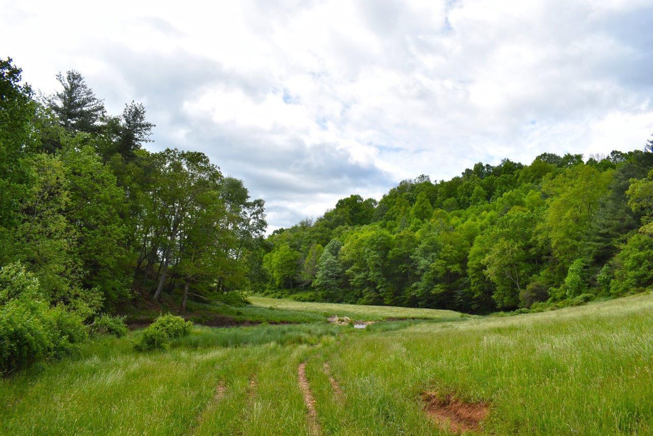 0 Double Springs Road Northeast Check, VA 24072 - Photo 2 of 15 a view of a grassy field with trees