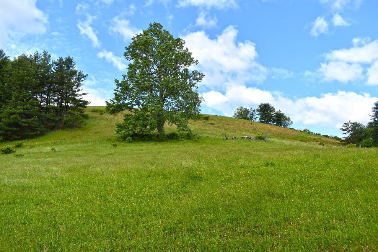 0 Double Springs Road Northeast Check, VA 24072 - Photo 3 of 15 a view of a grassy field with trees