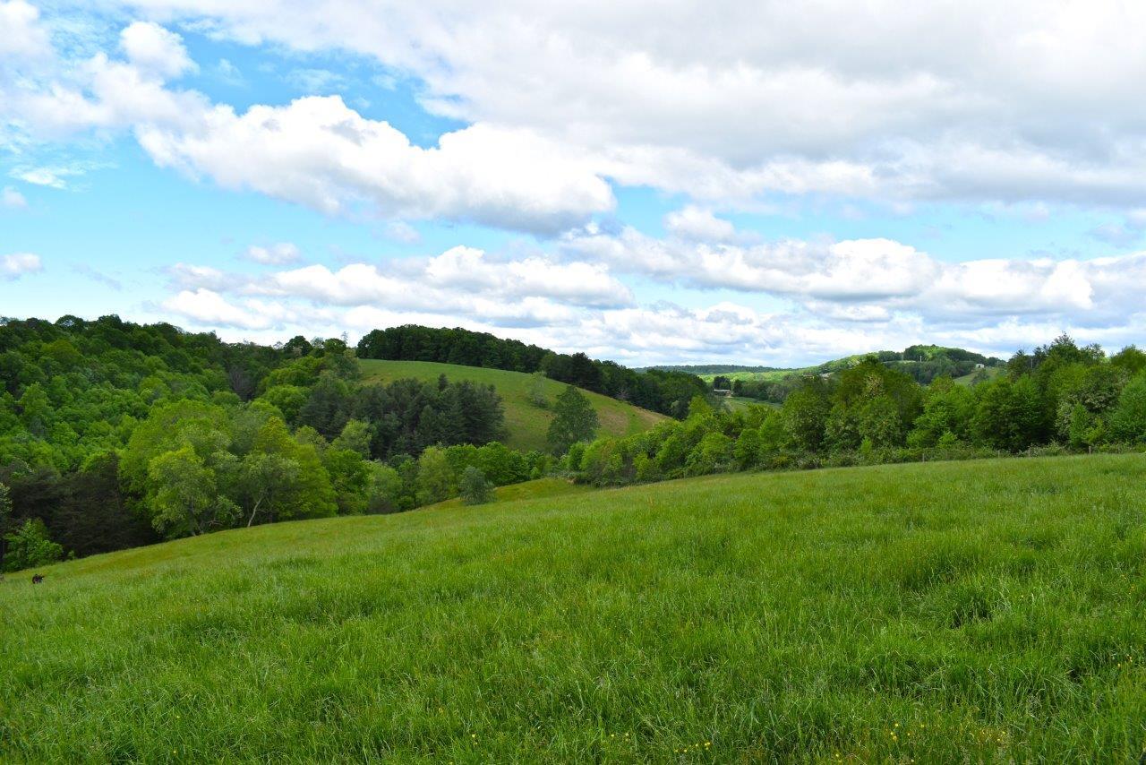0 Double Springs Road Northeast Check, VA 24072 - Photo 8 of 15 a view of a big yard with potted plants and mountain