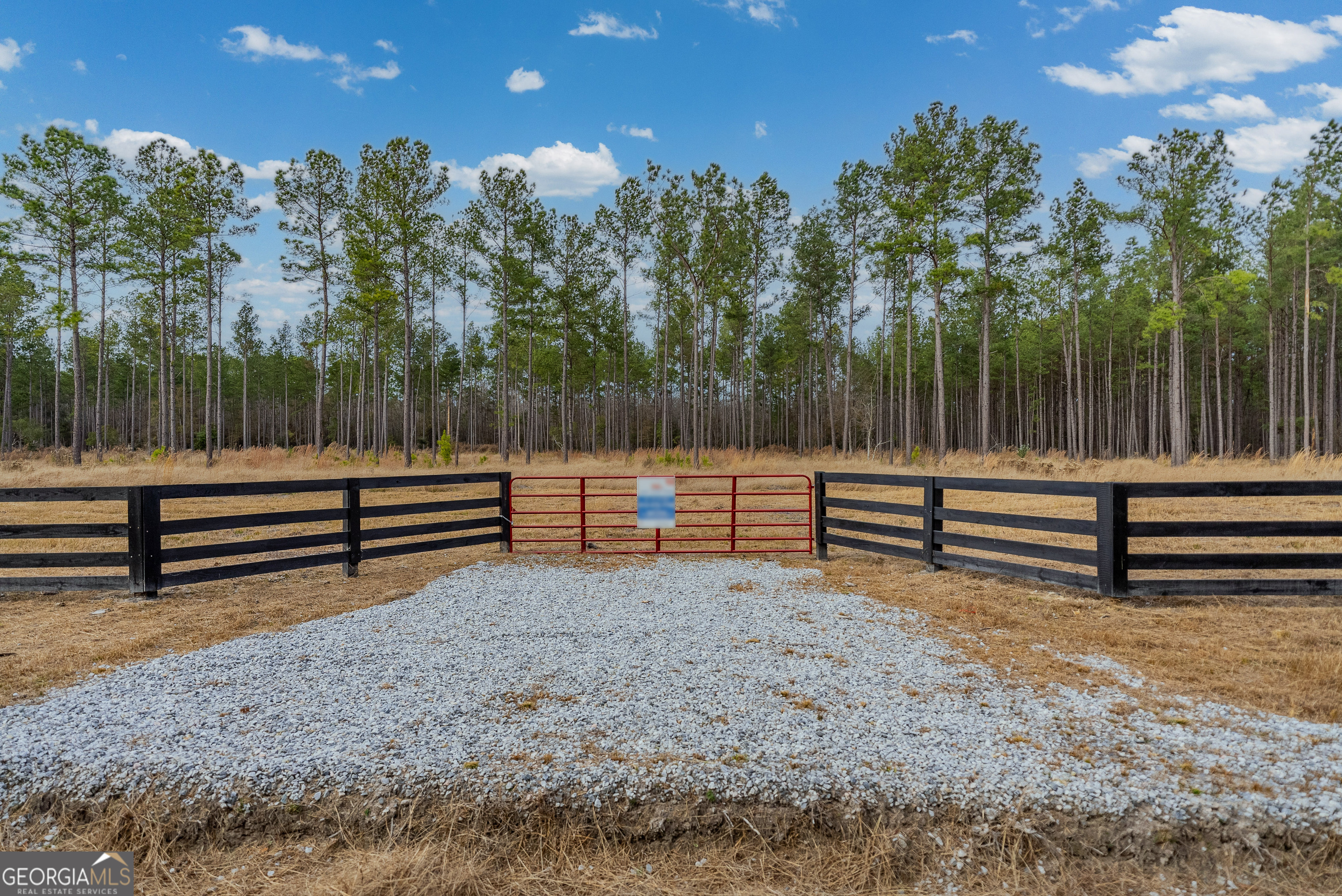 Lot 19 Lanes Church Road Brooklet, GA 30415 - Photo 3 of 3