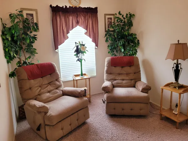 a living room with furniture flowerpot and a potted plant