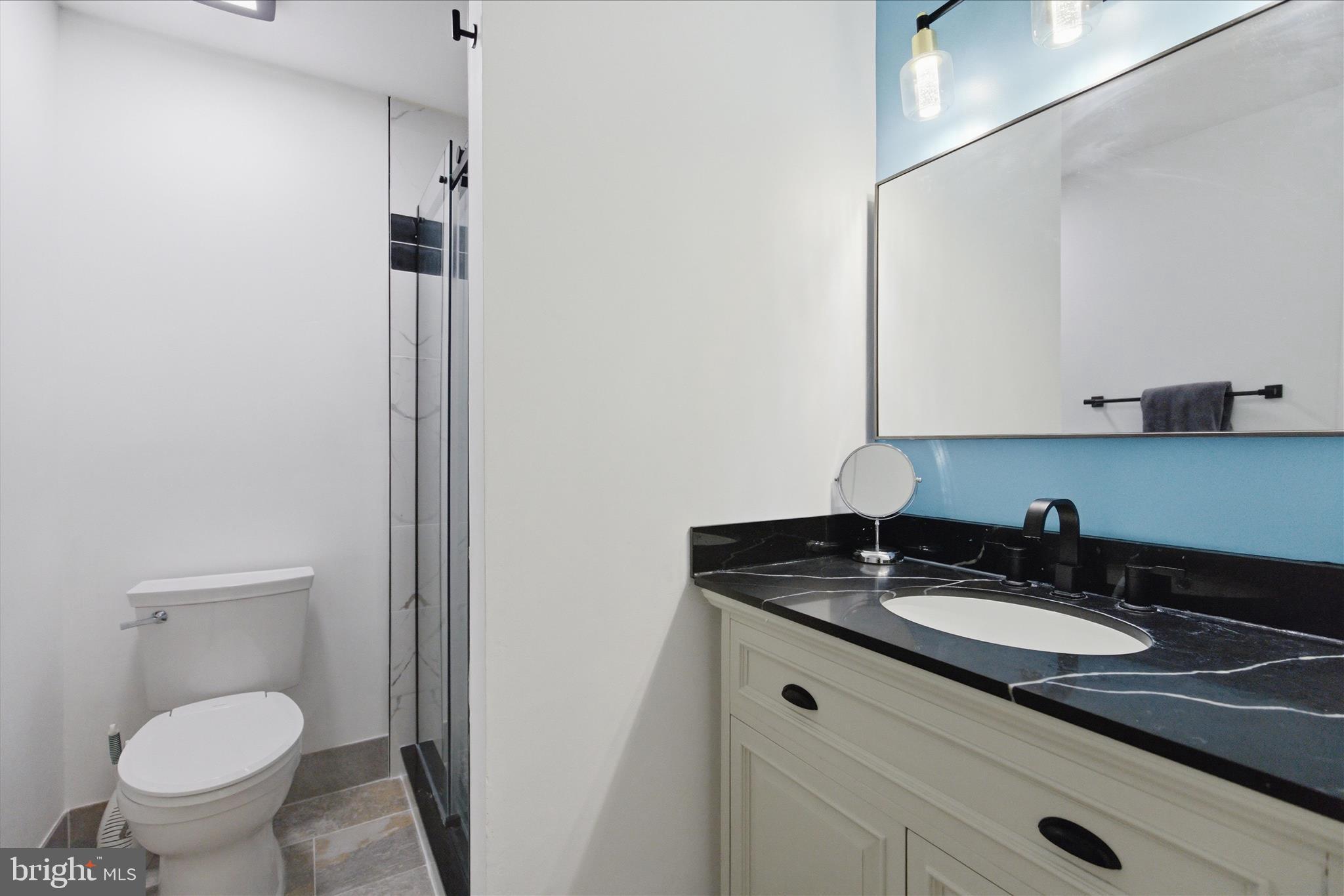 43732 Raspberry Lane Hollywood, MD 20636 - Photo 36 of 54 a sink and a toilet