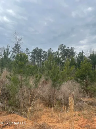 $85,850 | 419 Co Road, Calhoun City, MS 38916