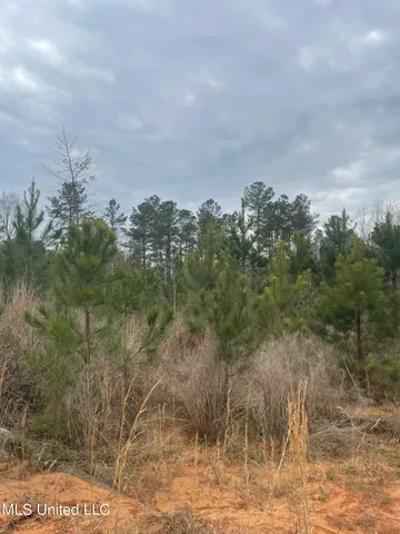 $85,850 | 419 Co Road, Calhoun City, MS 38916
