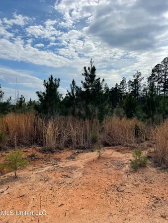 $85,850 | 419 Co Road, Calhoun City, MS 38916