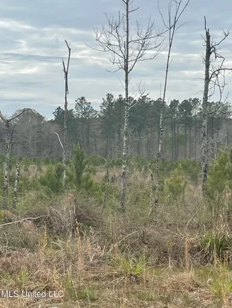 $85,850 | 419 Co Road, Calhoun City, MS 38916