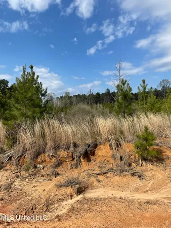 $85,850 | 419 Co Road, Calhoun City, MS 38916