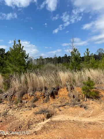 $85,850 | 419 Co Road, Calhoun City, MS 38916