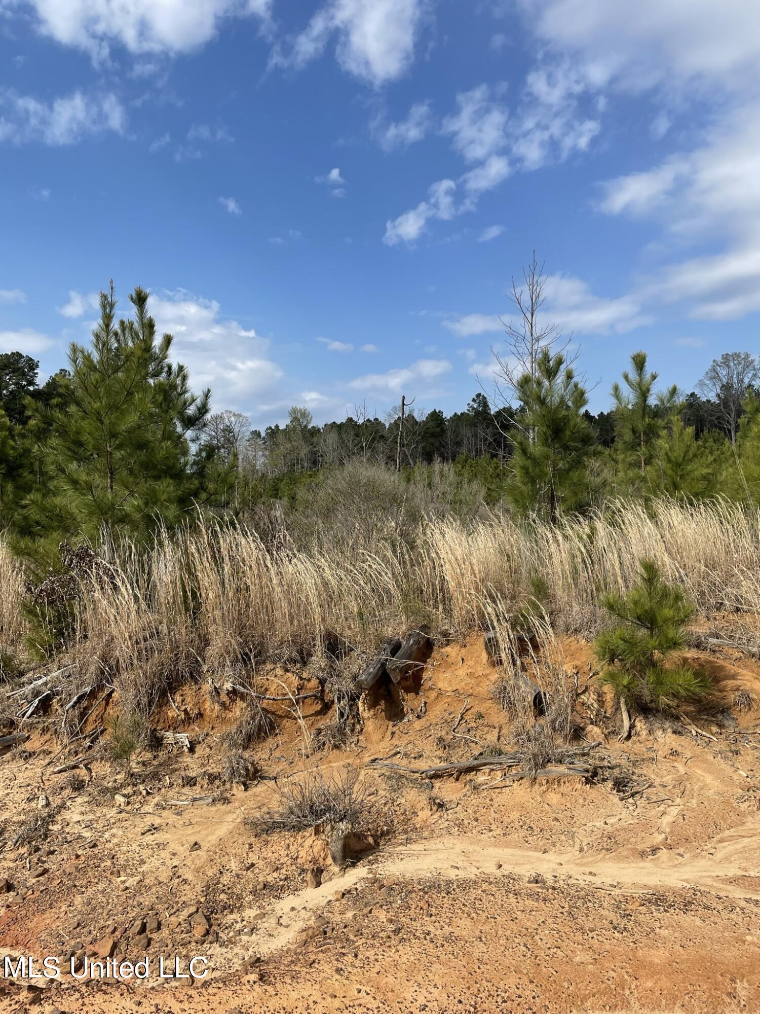 419 Co Road Calhoun City, MS 38916 - Photo 3 of 11 IMG_5730 33.8