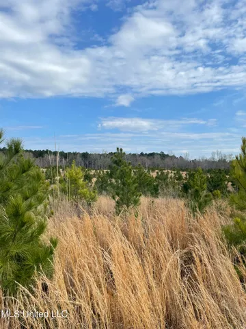 $85,850 | 419 Co Road, Calhoun City, MS 38916