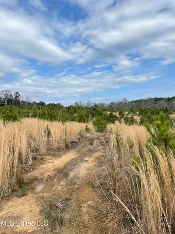 $85,850 | 419 Co Road, Calhoun City, MS 38916