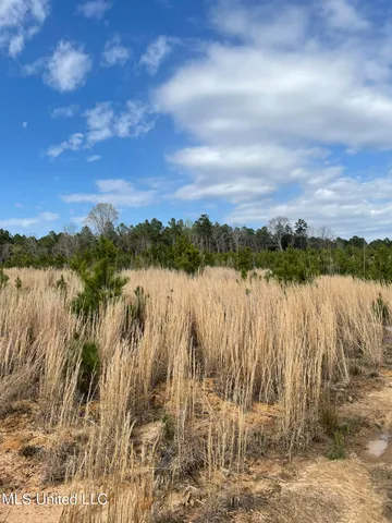 $85,850 | 419 Co Road, Calhoun City, MS 38916