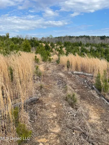 $85,850 | 419 Co Road, Calhoun City, MS 38916