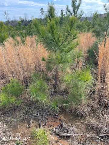 $85,850 | 419 Co Road, Calhoun City, MS 38916