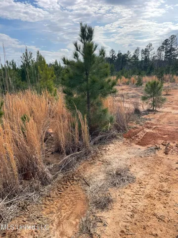 $85,850 | 419 Co Road, Calhoun City, MS 38916