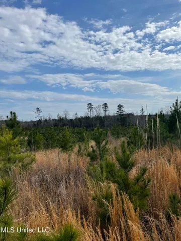 $85,850 | 419 Co Road, Calhoun City, MS 38916