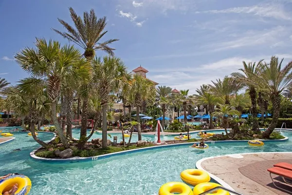 a view of a park with palm trees