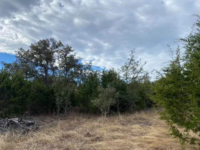 a view of backyard with green space