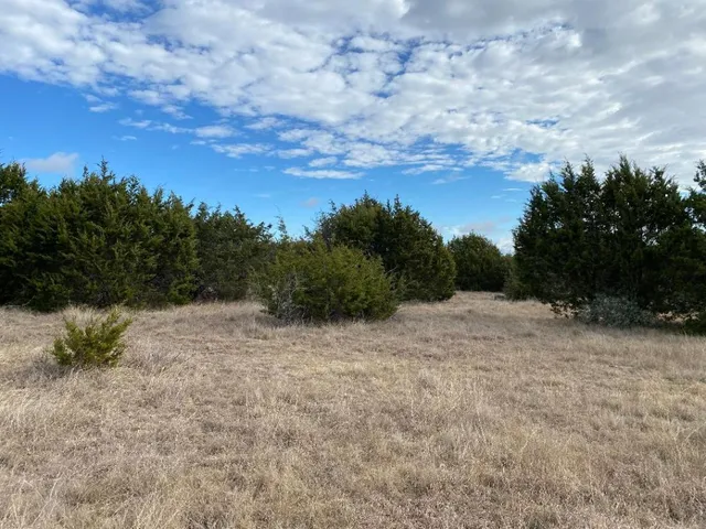 a view of dirt field with trees in background
