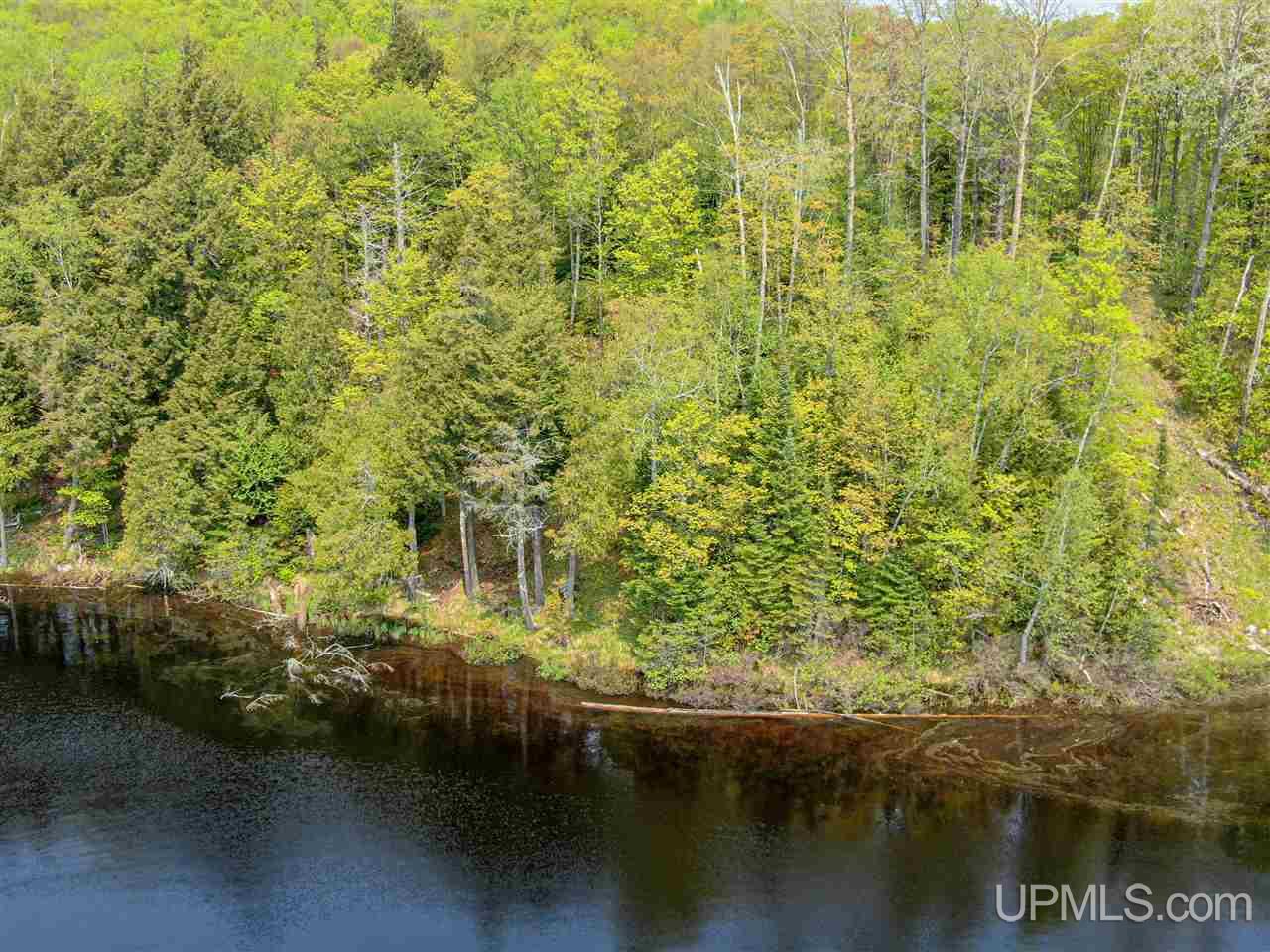 On Chaney Lake Cove Road Wakefield, MI 49968 - Photo 13 of 14 Gallery Image 13